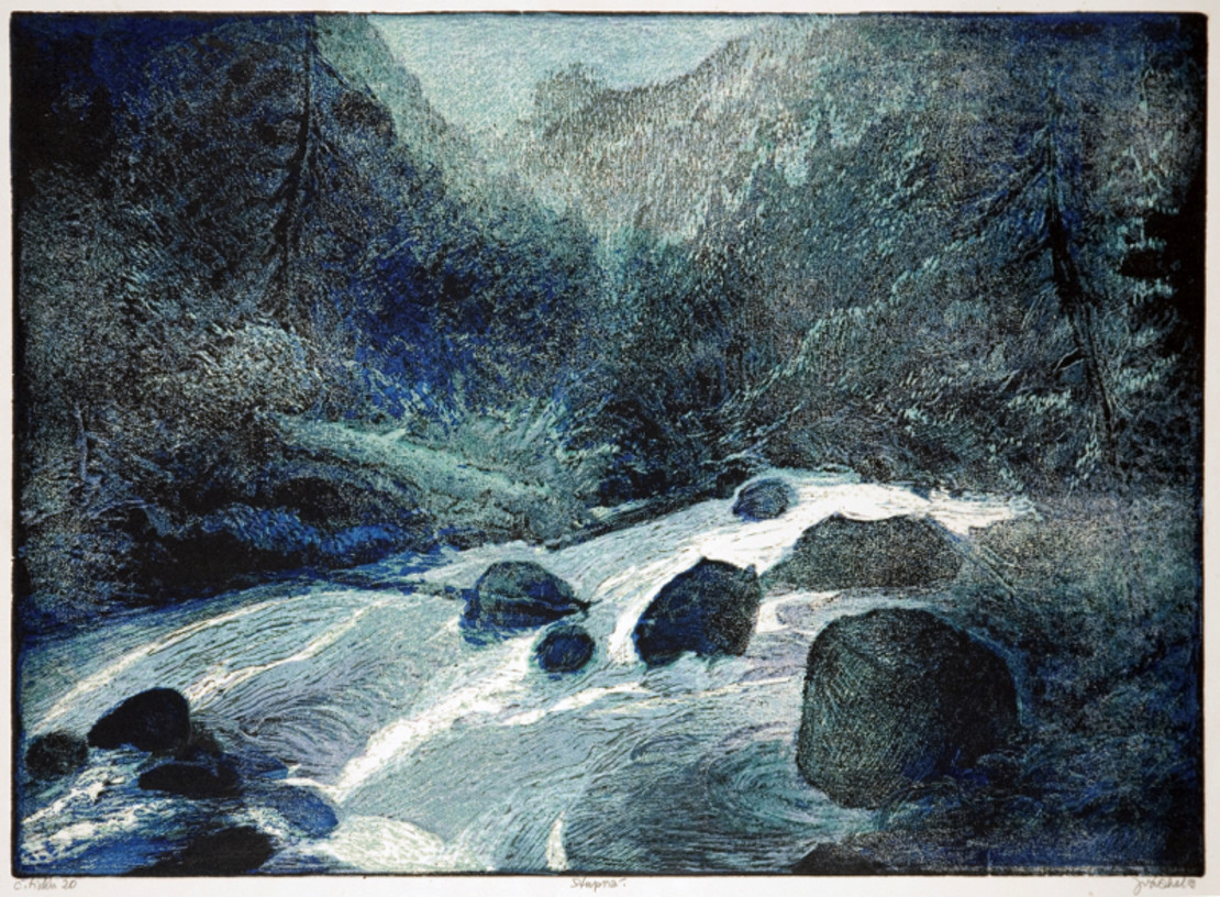 Šumava umírající a romantická (konvolut) - Josef Váchal (1884–1969) | 1 ...